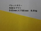 【クスノキ】パレットカラー ヒマワリ