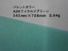 【クスノキ】パレットカラー エメラルドグリーン