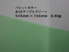 【クスノキ】パレットカラー アップルグリーン