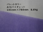 【クスノキ】パレットカラー バイオレット