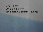 【クスノキ】パレットカラー ライトブルー