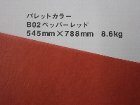 【クスノキ】パレットカラー ペッパーレッド