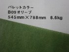 【クスノキ】パレットカラー オリーブ