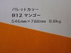 【クスノキ】パレットカラー マンゴー